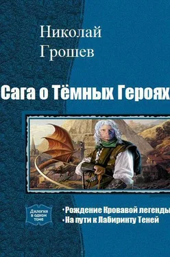 Николай Грошев Сага о Тёмных Героях. Дилогия (СИ) обложка книги