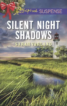 Sarah Varland Silent Night Shadows обложка книги