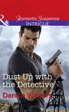 Danica Winters Dust Up With The Detective обложка книги