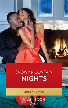 Lindsay Evans Snowy Mountain Nights обложка книги