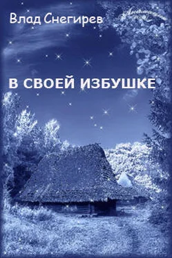 Влад Снегирев В своей избушке обложка книги