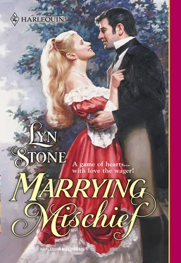 Lyn Stone Marrying Mischief обложка книги