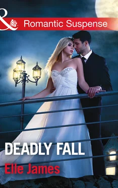 Elle James Deadly Fall обложка книги