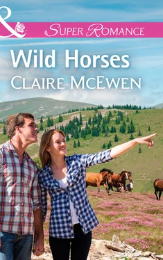 Claire McEwen Wild Horses обложка книги