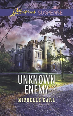 Michelle Karl Unknown Enemy обложка книги
