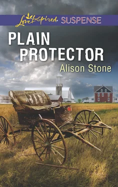 Alison Stone Plain Protector обложка книги