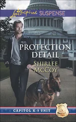 Shirlee McCoy - Protection Detail