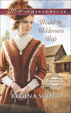 Regina Scott Would-Be Wilderness Wife обложка книги