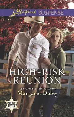 Margaret Daley High-Risk Reunion обложка книги