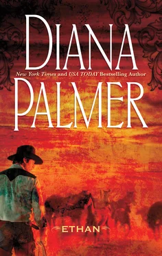 Diana Palmer Ethan обложка книги