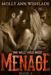 Molly Ann Wishlade - Menage