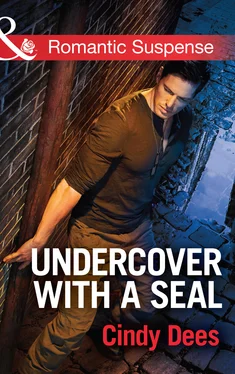 Cindy Dees Undercover with a SEAL обложка книги