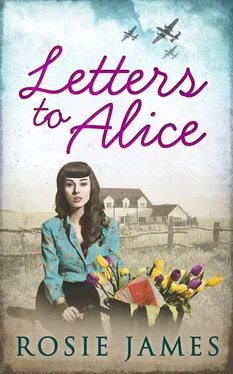 Rosie James Letters To Alice обложка книги