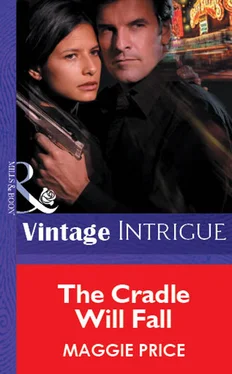 Maggie Price The Cradle Will Fall обложка книги