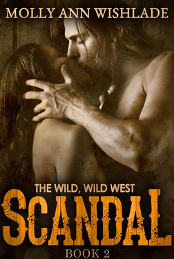 Molly Ann Wishlade Scandal обложка книги