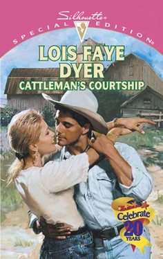 Lois Faye Dyer Cattleman's Courtship обложка книги