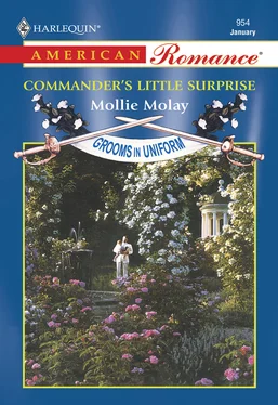 Mollie Molay Commander's Little Surprise обложка книги