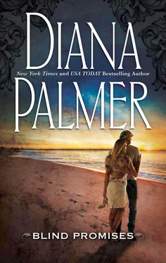 Diana Palmer Blind Promises обложка книги