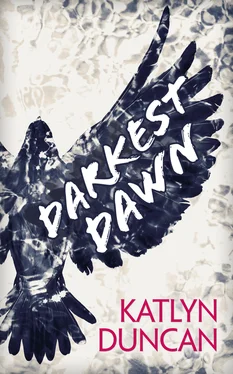 Katlyn Duncan Darkest Dawn обложка книги