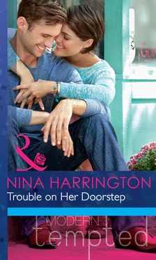 Nina Harrington Trouble on Her Doorstep обложка книги