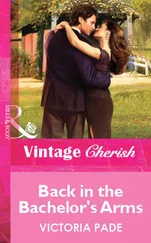 Victoria Pade - Back in the Bachelor's Arms