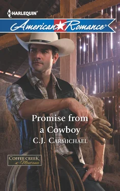 C.J. Carmichael Promise from a Cowboy обложка книги