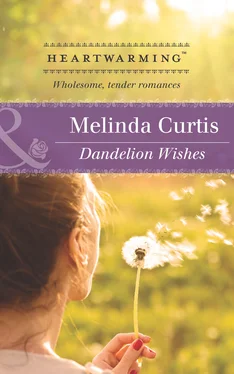 Melinda Curtis Dandelion Wishes обложка книги