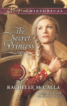 Rachelle McCalla The Secret Princess обложка книги
