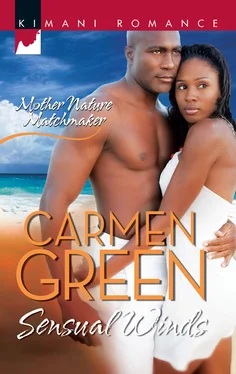 Carmen Green Sensual Winds обложка книги