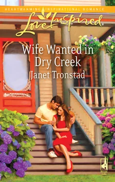 Janet Tronstad Wife Wanted in Dry Creek обложка книги