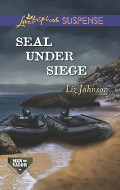 Liz Johnson SEAL Under Siege обложка книги