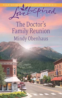 Mindy Obenhaus The Doctor's Family Reunion обложка книги