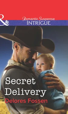 Delores Fossen Secret Delivery обложка книги