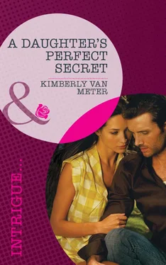 Kimberly Van Meter A Daughter's Perfect Secret обложка книги