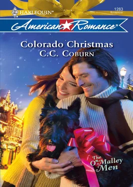 C.C. Coburn Colorado Christmas обложка книги