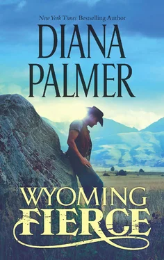 Diana Palmer Wyoming Fierce обложка книги