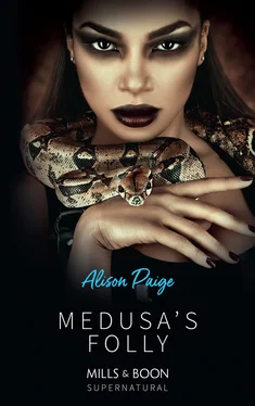 Alison Paige Medusa's Folly обложка книги