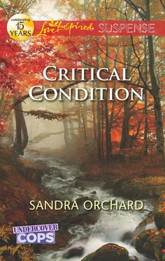 Sandra Orchard Critical Condition обложка книги