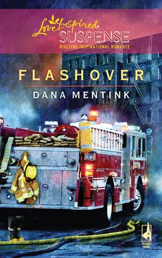 Dana Mentink Flashover обложка книги
