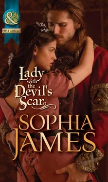 Sophia James Lady with the Devil's Scar обложка книги