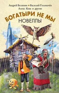 Алекс Кош Богатыри не мы. Новеллы (сборник) обложка книги