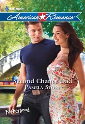 Pamela Stone - Second Chance Dad