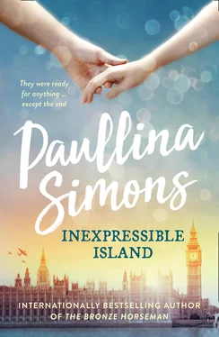 Paullina Simons Inexpressible Island обложка книги