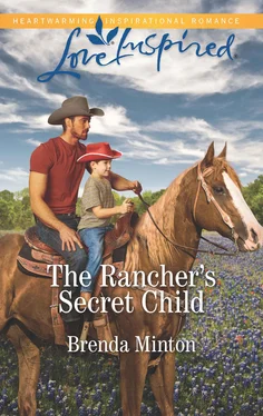 Brenda Minton The Rancher's Secret Child обложка книги