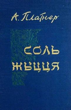 Айзік Платнер Соль жыцця обложка книги