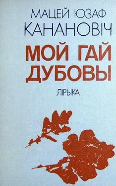 Мацей Канановіч Мой гай дубовы обложка книги