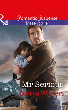 Danica Winters Mr Serious обложка книги