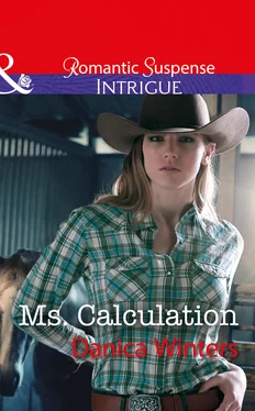 Danica Winters Ms. Calculation обложка книги