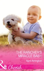 April Arrington - The Rancher's Miracle Baby