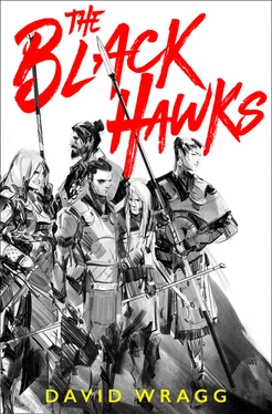 David Wragg The Black Hawks обложка книги
